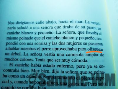 oler olfatear animal bestia
