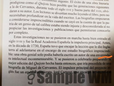 grande gran tamaño
