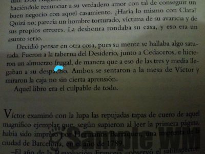 Foto_de_antoniobalibrea28129.jpg
