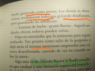 gimiendo
gimiendo como perros, gritando desafiantes, revolotearon indecisos
Keywords: descripción;animales;salvaje