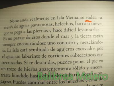 vadea
No se anda realmente en Isla Mema, se vadea

1. tr. Pasar un río u otra corriente de agua profunda por el vado o por cualquier otro sitio donde se pueda hacer pie.

2. tr. p. us. Vencer o esquivar una grave dificultad.

3. tr. p. us. Tantear o inquirir el ánimo de alguien.

4. prnl. Manejarse, portarse, conducirse.
Keywords: descripción;naturaleza;pantano;rio;agua