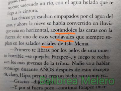 azotar; erial; vendaval
azotándole la cara con uno de esos vendavales que siempre sopla en los eriales de Isla Mema

Erial
1. adj. Dicho de una tierra o de un campo: Sin cultivar ni labrar. U. m. c. s. m.
Keywords: clima;viento;naturaleza