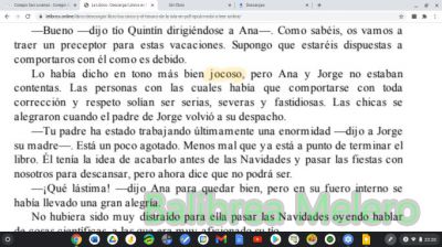 jocoso
había dicho en tono más bien jocoso

1. adj. Gracioso, chistoso, festivo.
Keywords: dijo;broma;chite