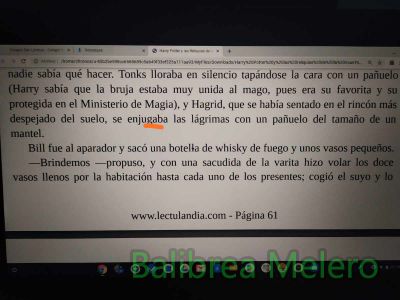 enjugaba
se enjugaba las lágrimas
Keywords: limpiaba;secaba;lágrima;llorar;triste;sentimiento