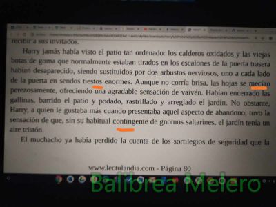 tiestos mecían
plantados en sendos tiestos enormes
las hojas se mecían perezosamente

Keywords: naturaleza;hojas;macetero;planta